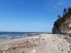 20220421_115627.jpg