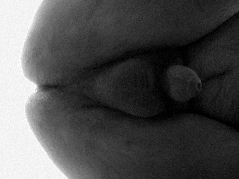 big_f03147a6e3b7483947be2b8e9166b212.jpg - BezimiennyMis