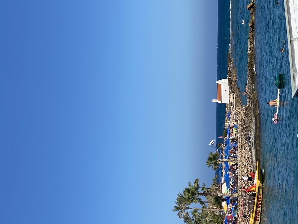 51BCF018-E5D7-4F46-9E20-AB879AACCED5.jpeg - andonis