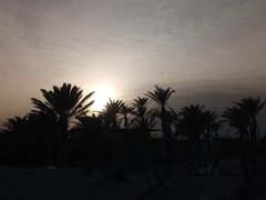 763A8250-2B55-47F8-BD21-06DB6BBB29C8.jpeg