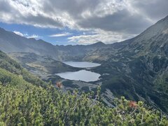 816DE1CB-FBD9-4EA2-905F-5610A86A2766.jpeg