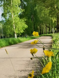 IMG_20220516_082139.jpg