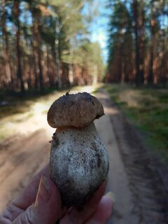 20220915_170909.jpg