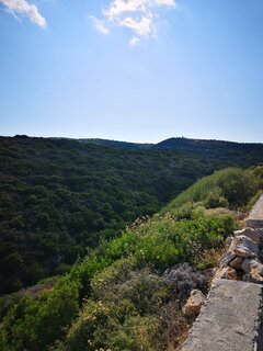 IMG_20190719_171043.jpg