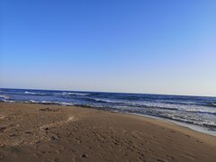 IMG_20220815_190331.jpg