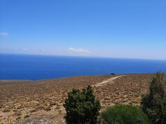 IMG_20210719_143207.jpg