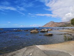 IMG_20220824_110120.jpg