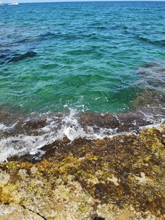 IMG_20220828_130510.jpg