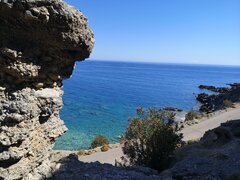 IMG_20210721_163619.jpg