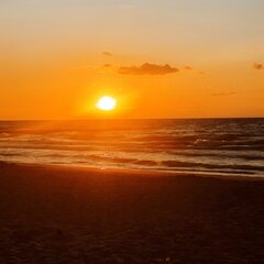 IMG_20220806_203543.jpg