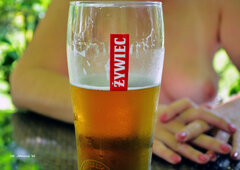 Żywiec 1.jpg