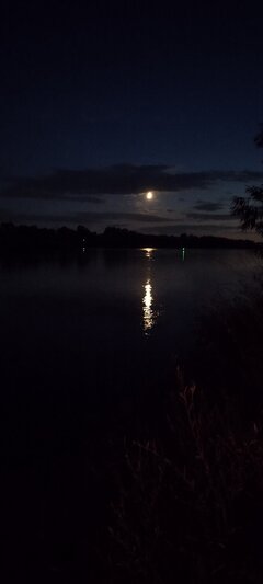 IMG_20220902_202441.jpg