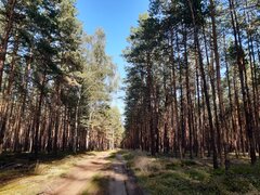 20220915_170736.jpg