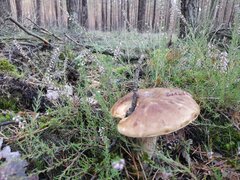 Resized_20220920_163027.jpeg