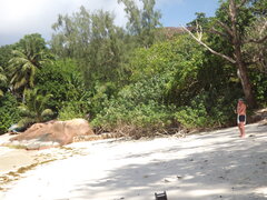 DSCF0296.JPG