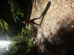 20220921_102642.jpg