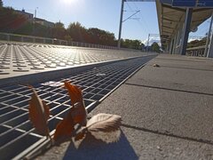 IMG_20220920_170933_1.jpg