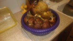 20220923_114801.jpg