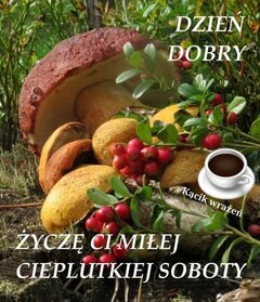 received_415812310672489.jpeg