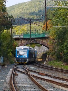 IMG_20220924_112457.jpg