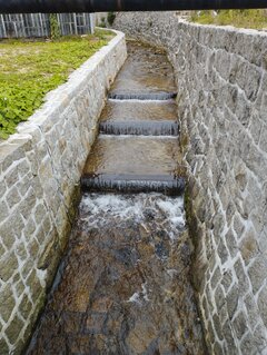 IMG_20220925_095307.jpg