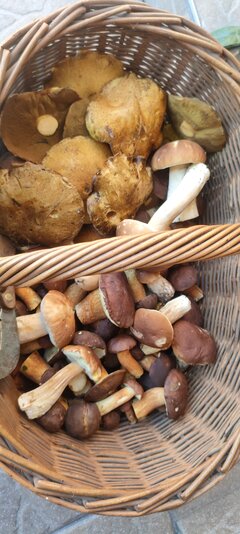 IMG20220923160339.jpg
