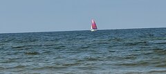 20210722_132442 (1).jpg
