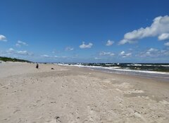 IMG_20220926_223426.jpg