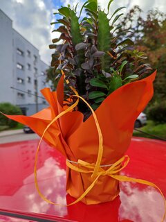 IMG_20220928_154323.jpg