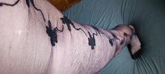 IMG_20220928_164737.jpg