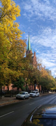 IMG_20220928_161717.jpg
