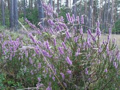 20200910_130323.jpg
