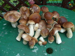 S1057005.JPG