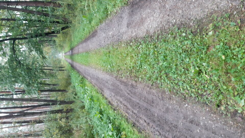 IMG-20221001-WA0000 (1).jpeg - wojtek198228