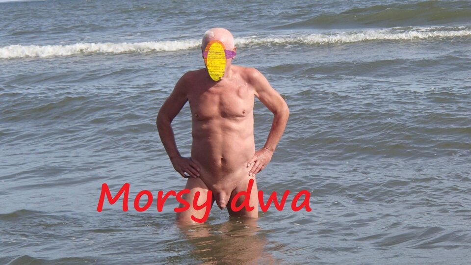 Dzień ósmy. Morze. - Morsy_dwa