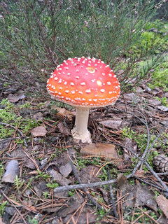 20220924_082159.jpg