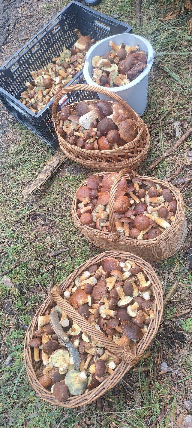 CzornyDuzy