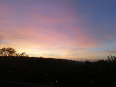 IMG_20221005_182834.jpg