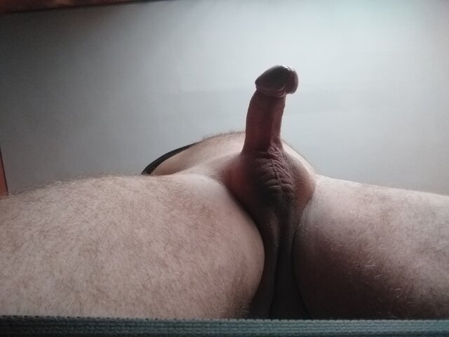 Daro24