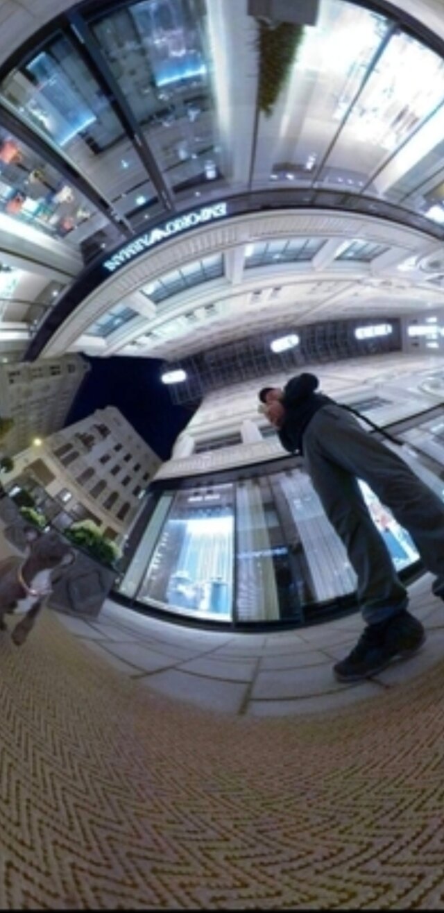 Rooftopping
