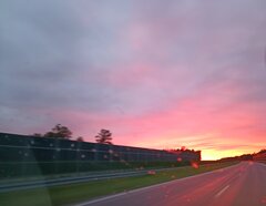 IMG_20221008_215352.jpg
