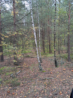 20221008_093644.jpg