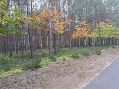 20221008_125749.jpg