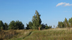 DSC08606.JPG