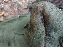 IMG_20221009_122039158.jpg