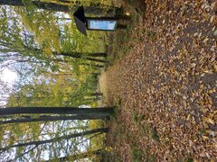 20221009_113511.jpg