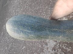 IMG_20221009_160027.jpg