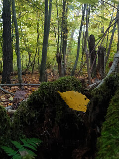 20221009_163618.jpg