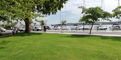 IMG_20200818_151300.jpg
