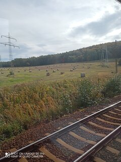 IMG_20221010_131105_271.jpg